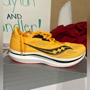 BNIB Saucony Endorphin Pro 2